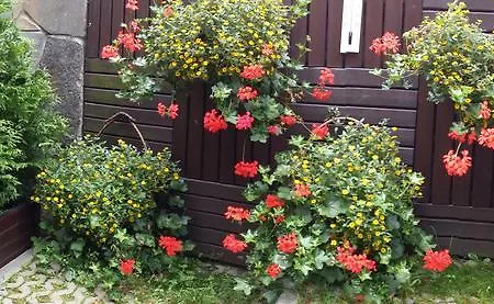 Centrum 2 * Zakopane